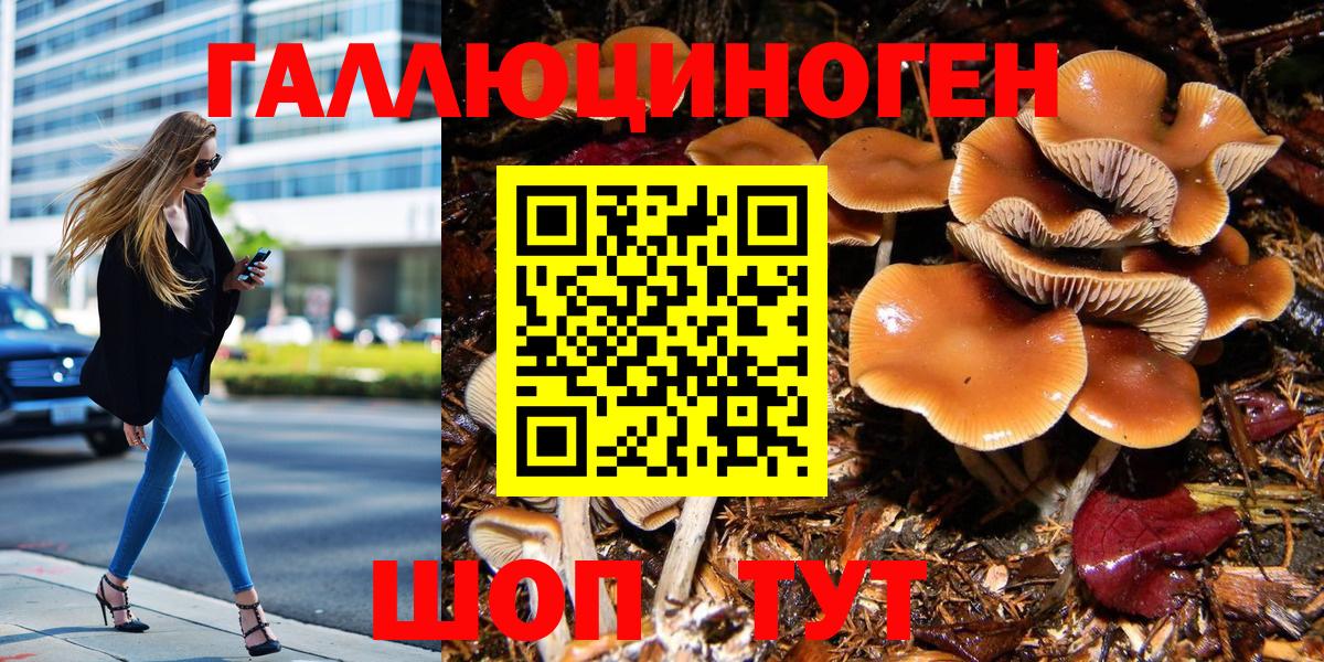 Псилоцибиновые грибы Cubensis Сергиев Посад